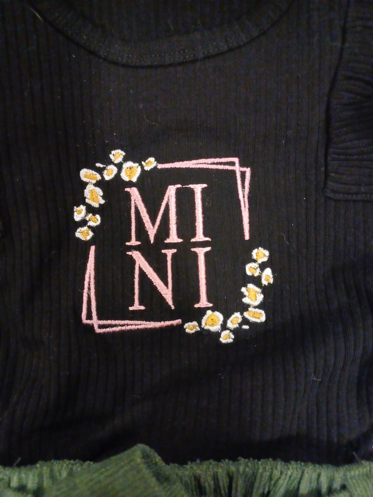 9-12 mos Mini skirt/shirt set