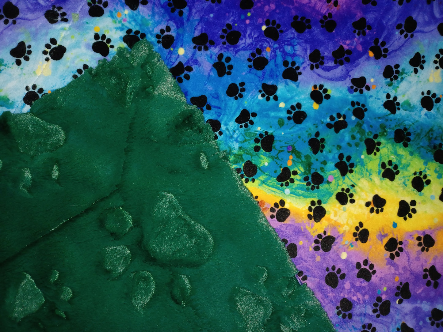 28x36 rainbow paw print minky on emerald embossed paws