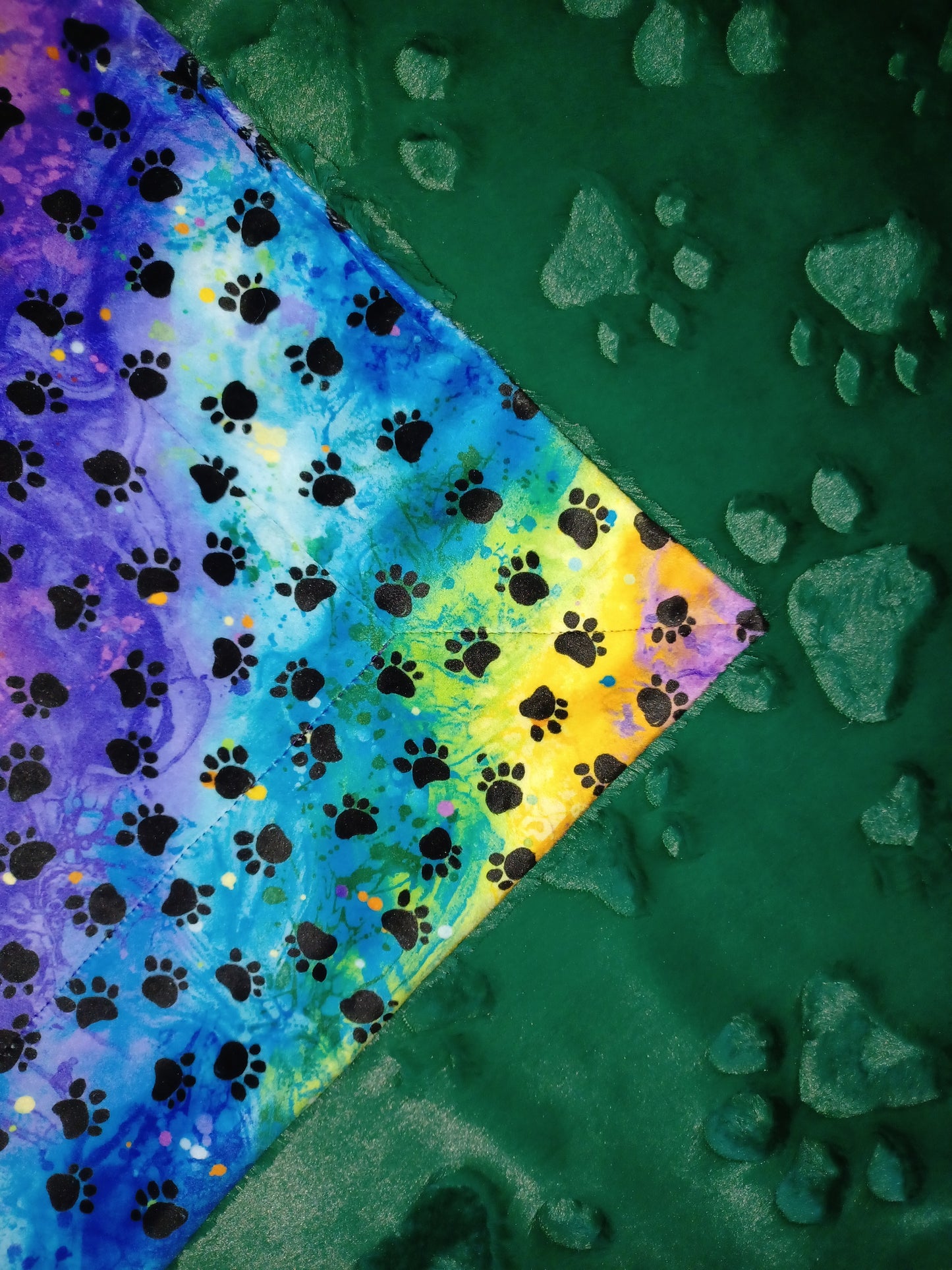 28x36 rainbow paw print minky on emerald embossed paws