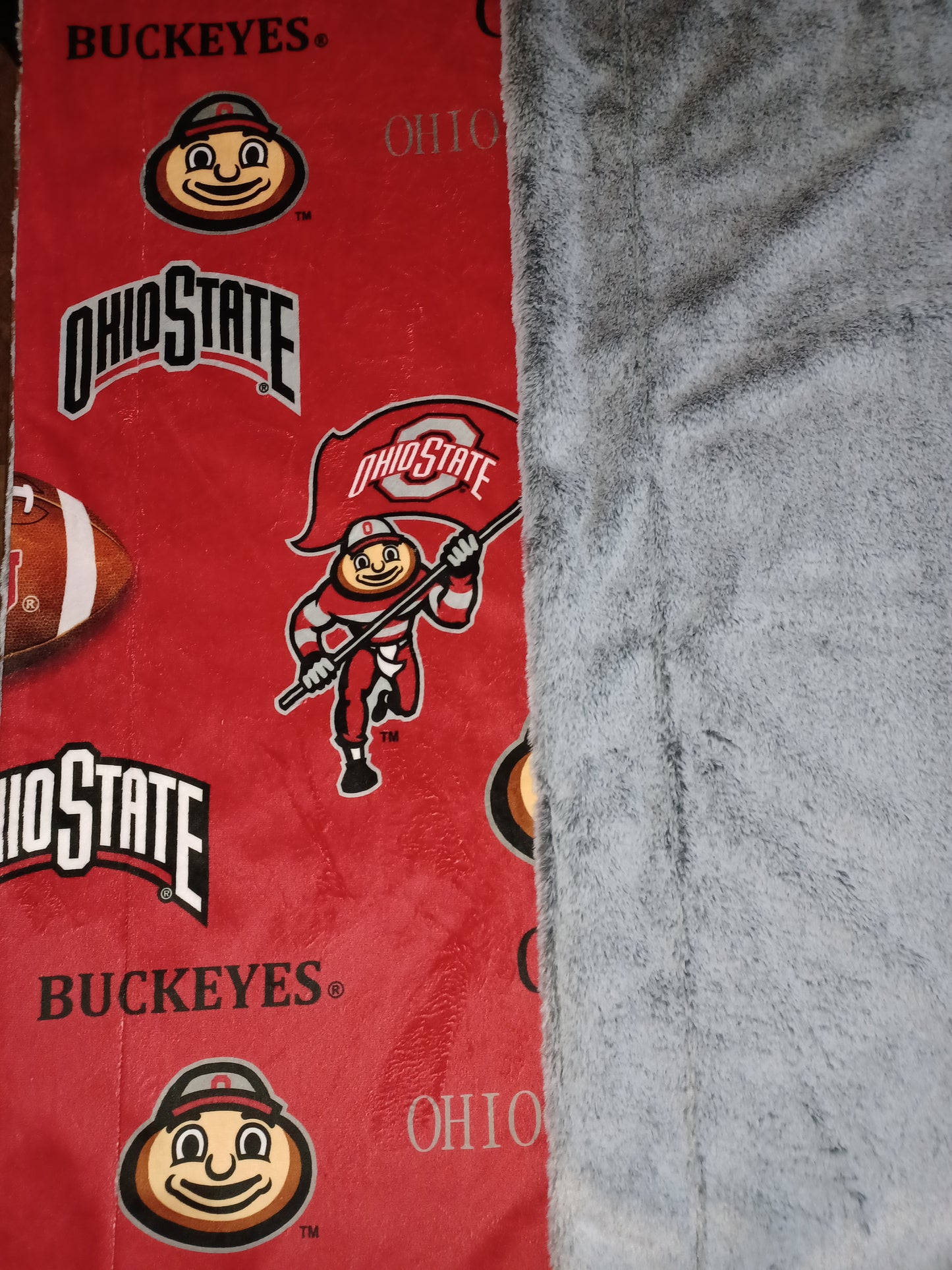 60x55 collegiate football printed Minky on silver glazed frost