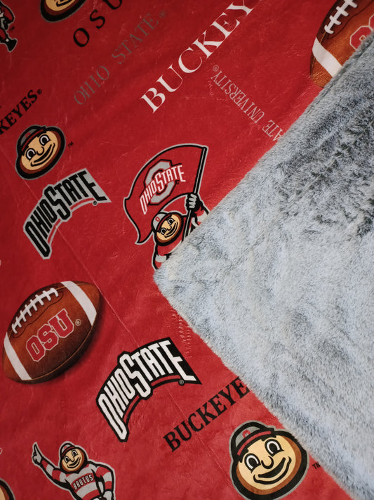 60x55 collegiate football printed Minky on silver glazed frost