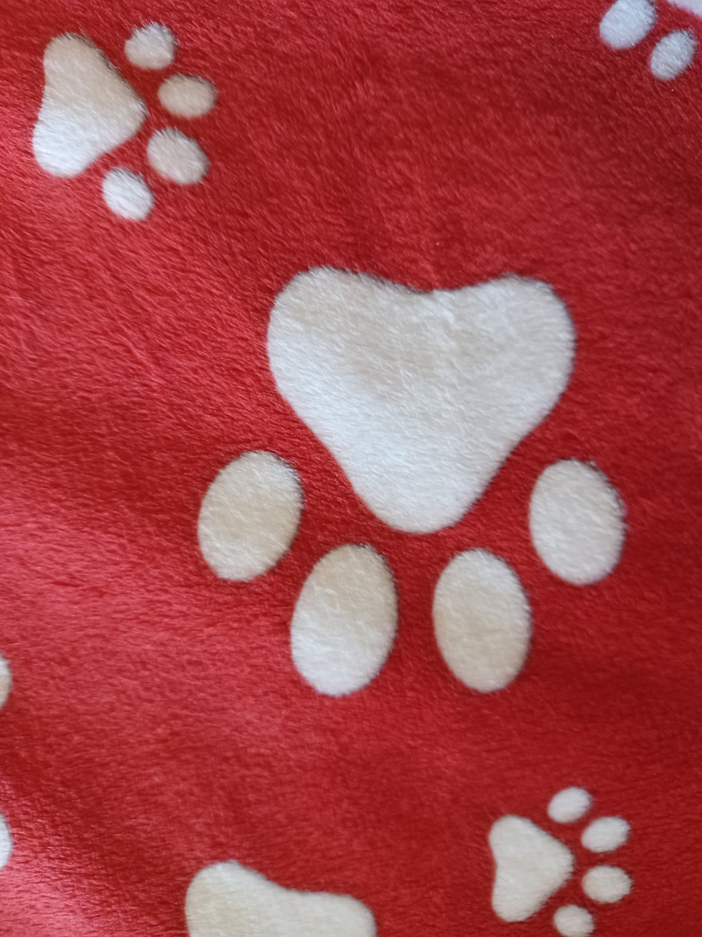60x72 red/grey paws on black koala